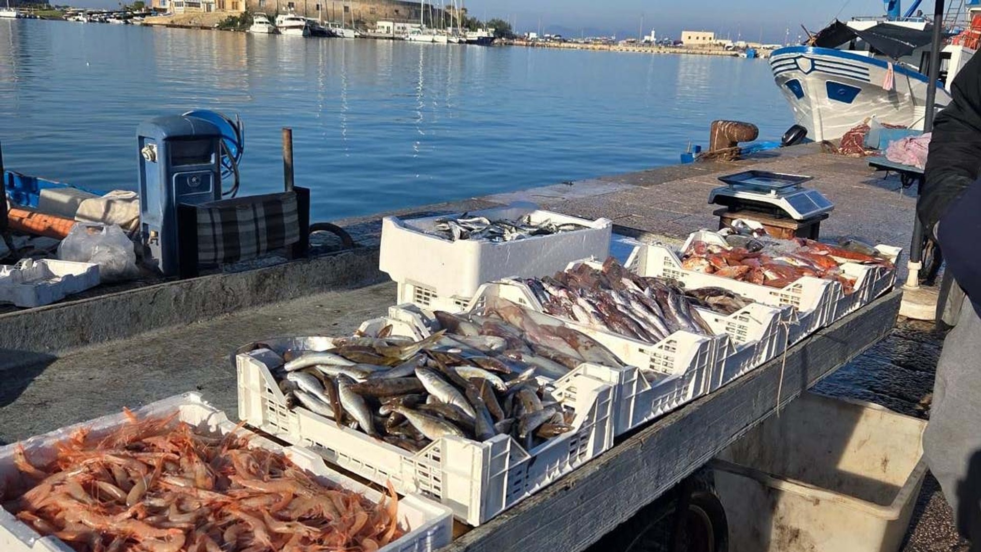 Trapani 5