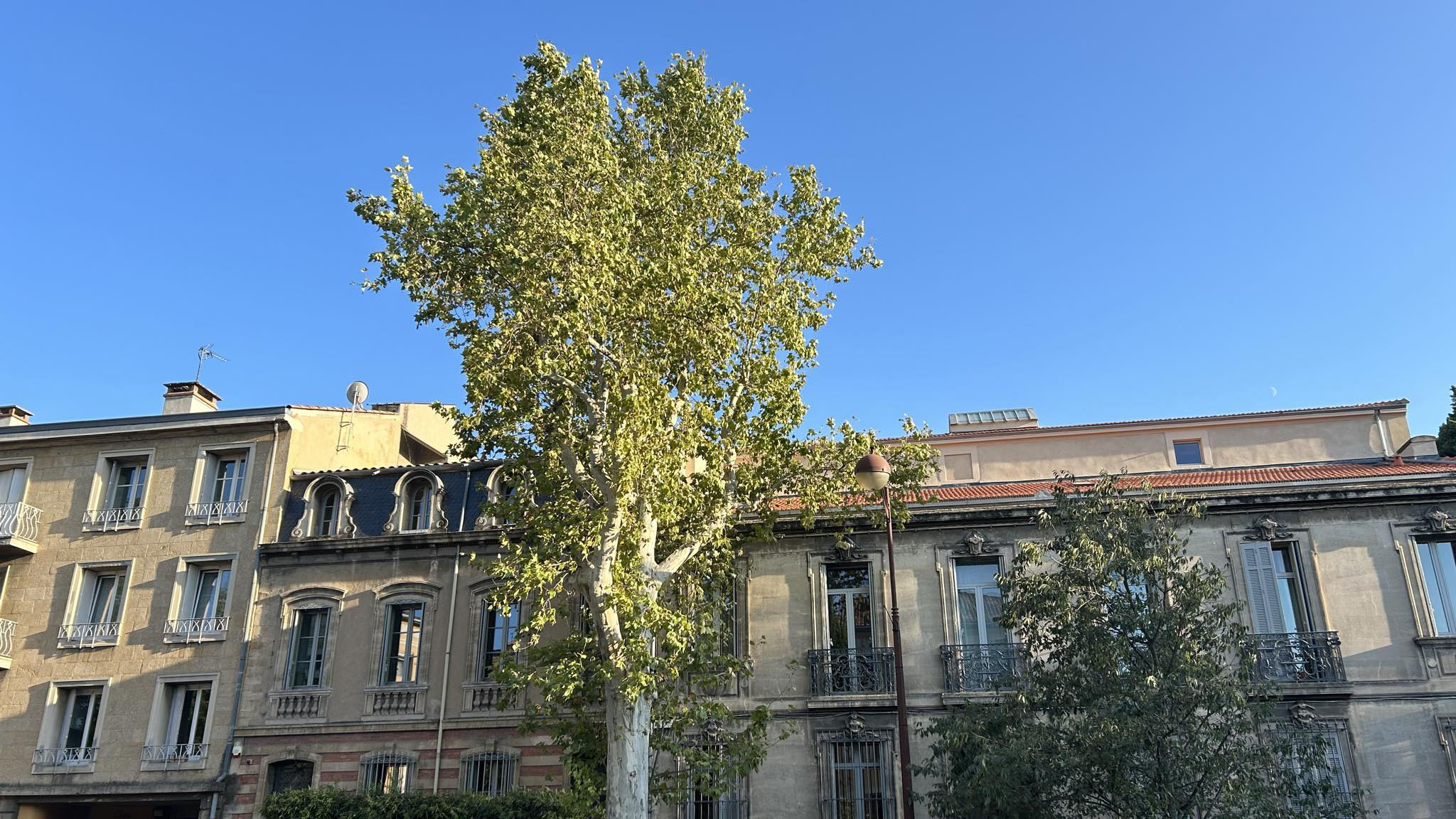 aix24_5.jpg