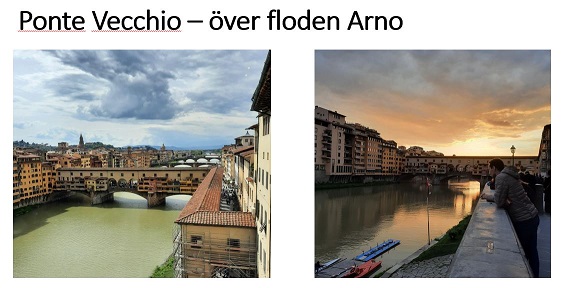 florens5a.jpg