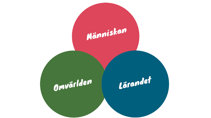 fokusringar.png