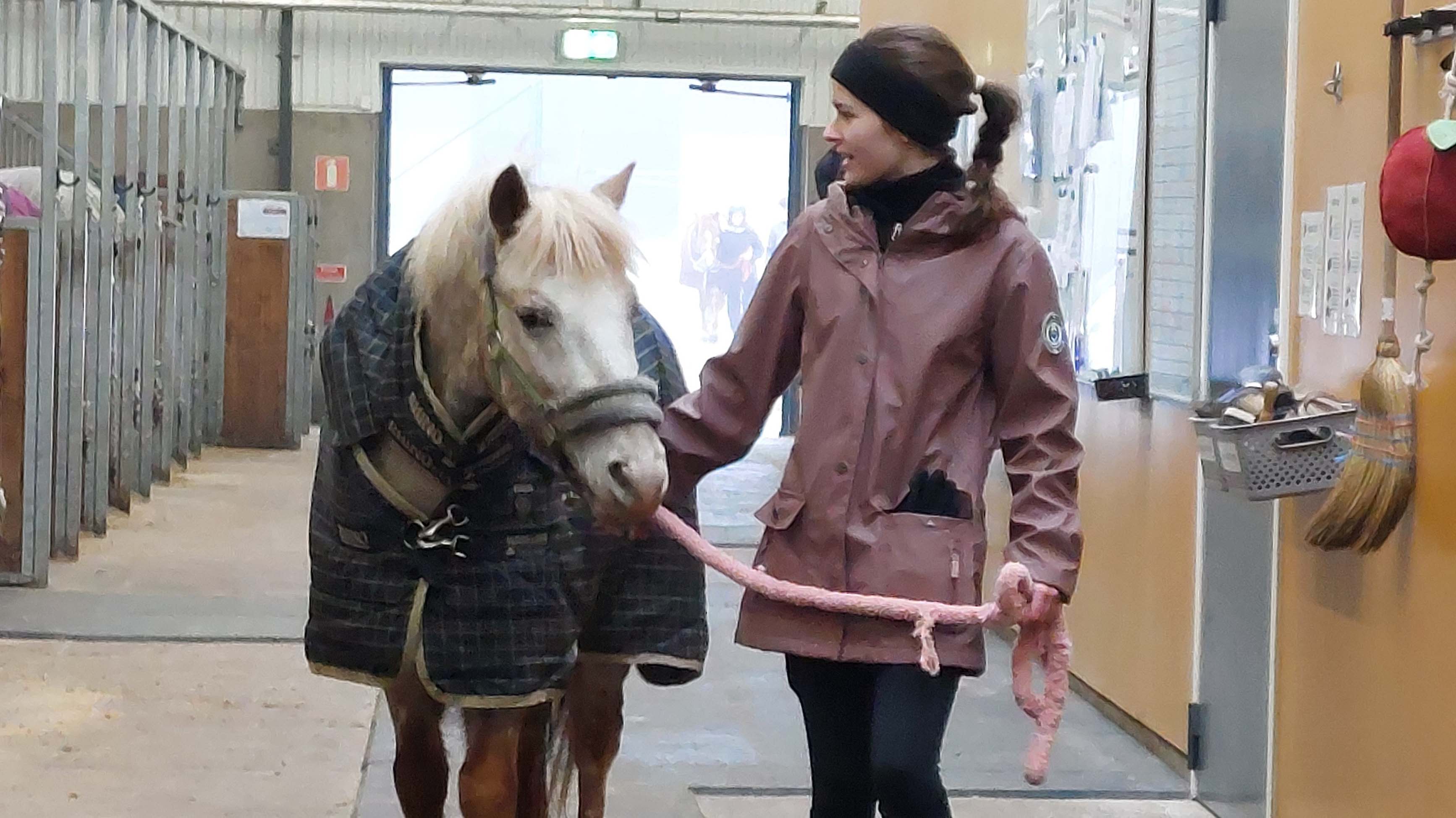 partilleridklubb kopiera.jpg