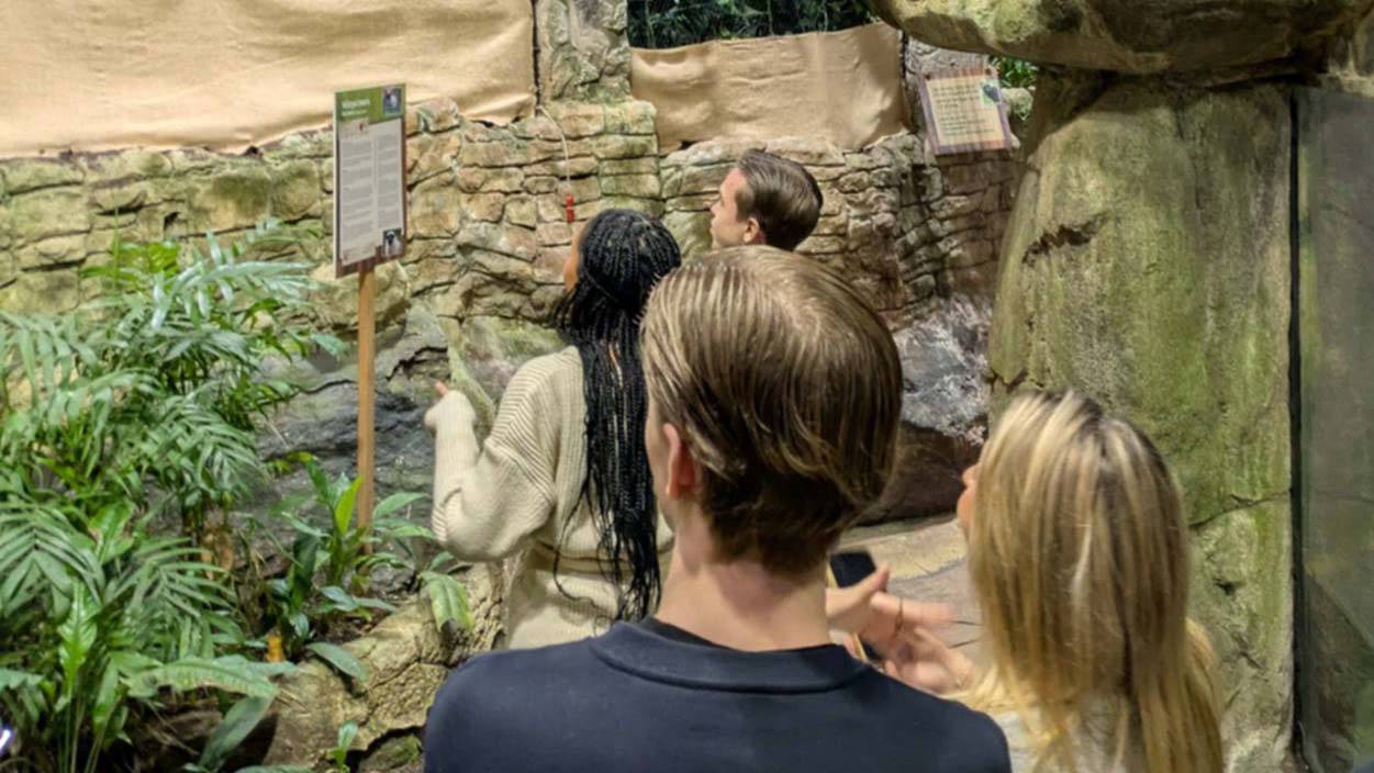 Bilden visar ett gäng elever i regnskogen på Universeum.